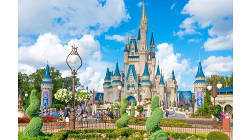 Walt Disney World