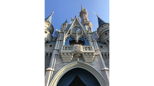 Walt Disney World Resort- Cinderella's Castle