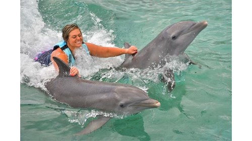 Swimming with Dolphins in Cozumel!