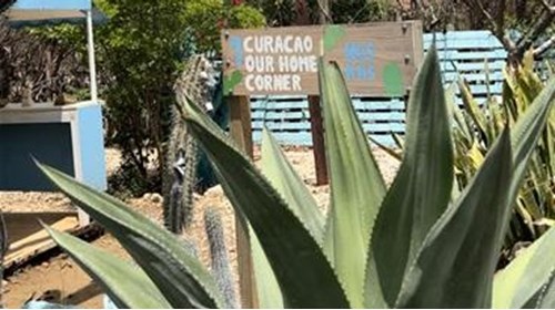 Curacao Herb Garden 