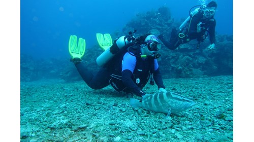 Scuba Diving Travel Specialist