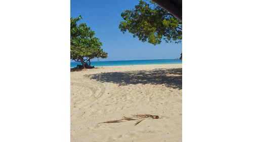 Punta Cana