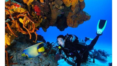 Planning a dive trip is worth the hassle!