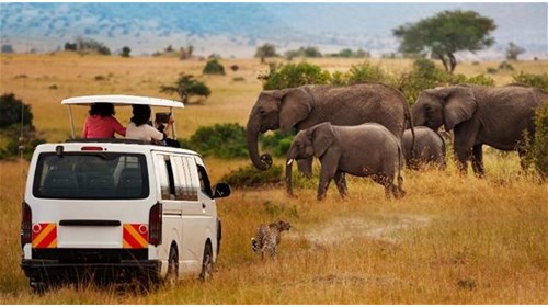 5 Best Places to Visit in Kenya for 2024