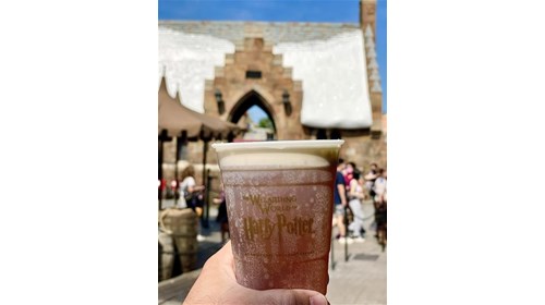 Universal Orlando & Harry Potter Packages