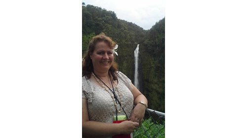 Wailoa Falls - the Big Island