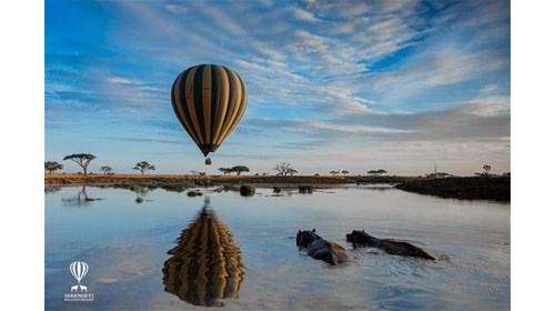 Hot Air Balloon over the Serengeti; hippos