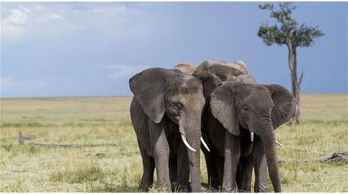5 Most Beautiful Places To Visit in Kenya