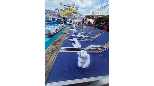 All the fun aboard whatever vacation you chose