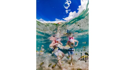 My boys snorkeling in Jamaica 