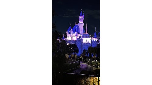 Sleeping Beauty Castle at night is breathtaking!