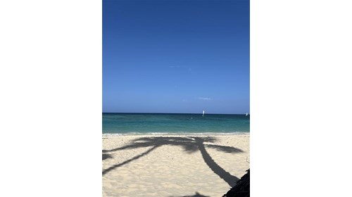 One of the Most Beautiful Beaches in the World!