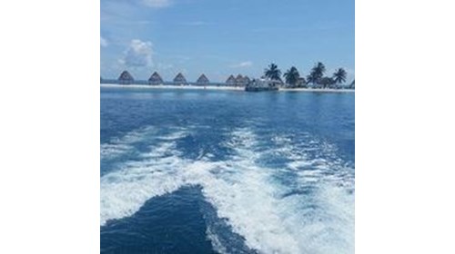 Beautiful Belize Snorkeling Trip