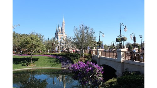 Beautiful Castle View- Walt Disney World 
