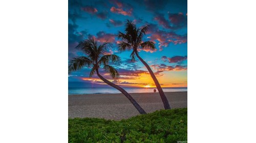 Maui Sunset 2020