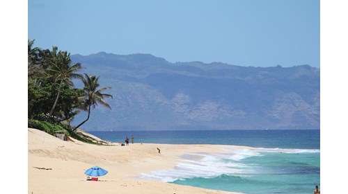 Paradise in the South Pacific