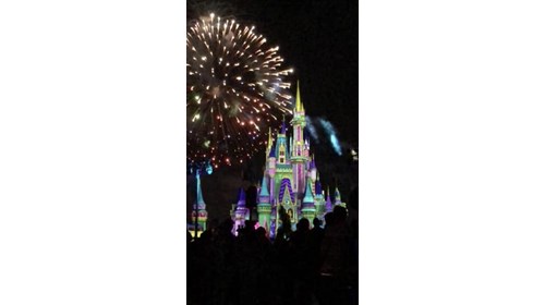 Disney World is simply magical!