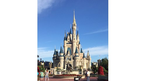 Cinderella Castle, Walt Disney World (FL)