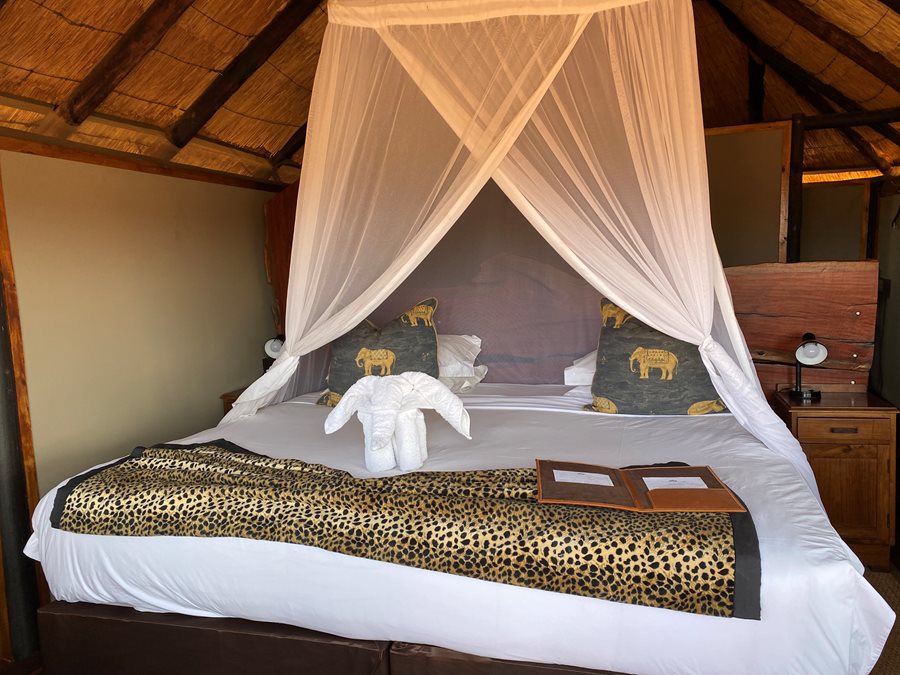 24-Eastern Hwange National park zimbabwe, Ivory Lo