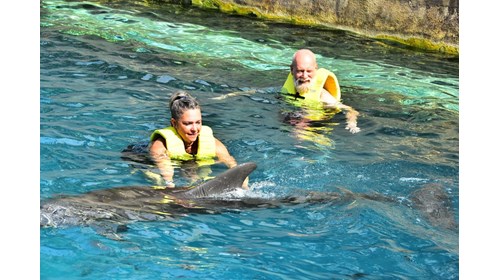 Swimming with the dolphins!
