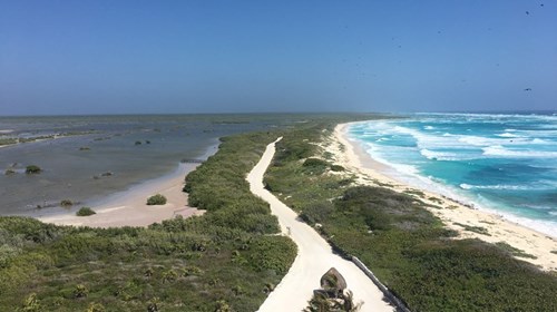 View from the top of a lighthouse in Cozumel