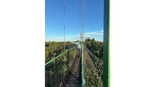 Suspension bridge over Amazon jungle, Ecuador