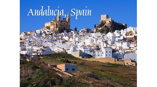 My roots: Andalucia, te amo.