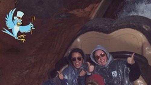 Splash Mountain Fun at Walt Disney World