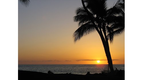 The Island of Hawai'i