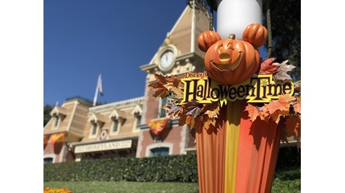 Disney and Universal Vacations