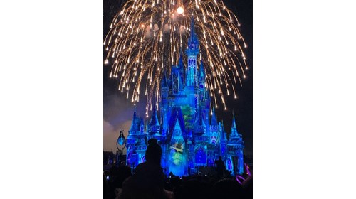 Wishes do Come True with Disney