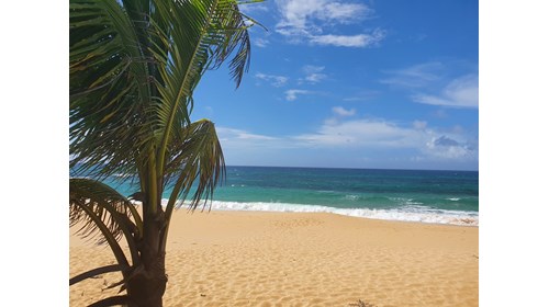 A Slice of Paradise in Puerto Rico!