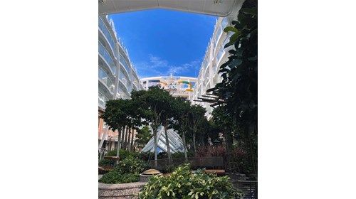Central Park on Symphony of the Seas