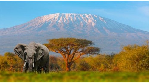 Budget Travel for an Affordable Trip to Tanzania