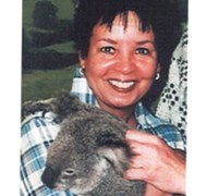 holding a koala was a dream come true  ...