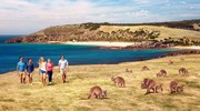 Amazing Kangaroo Island!