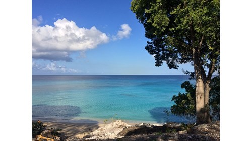 Barbados wishes you were here