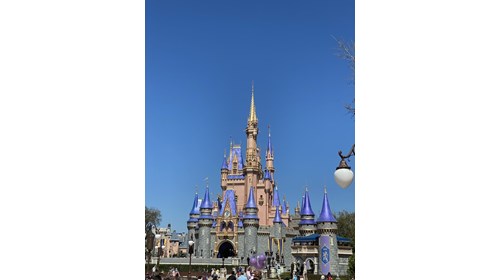 The happiest place on earth 