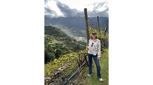 Winery Tour & Tasting in Madeira, Portugal 