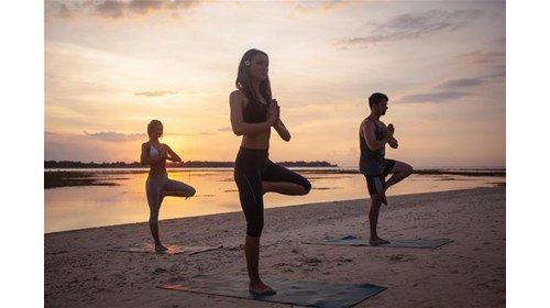 Yoga and Wellness Travel Expert