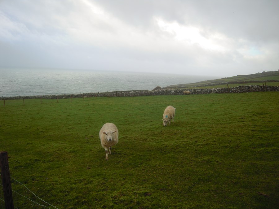 Irish countryside