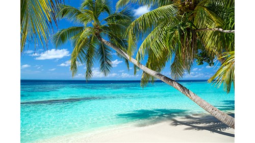 Private Caribbean Beach