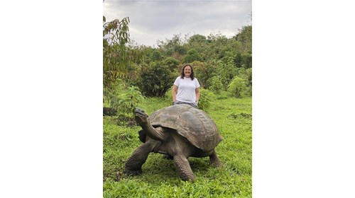 A giant tortoises in the Galapagos Islands