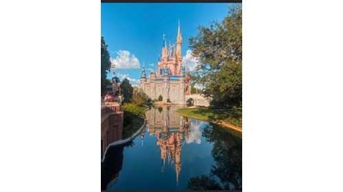 Disney World is Magical