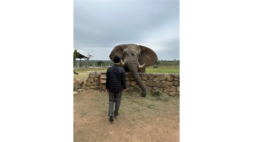 Jabulani Elephant Sanctuary