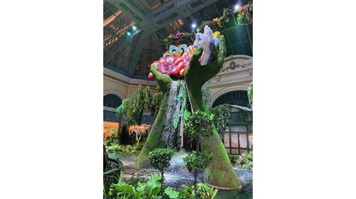 The Conservatory at The Bellagio