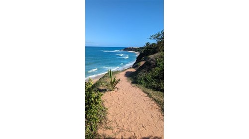 Many paths lead to beaches in Brasil!