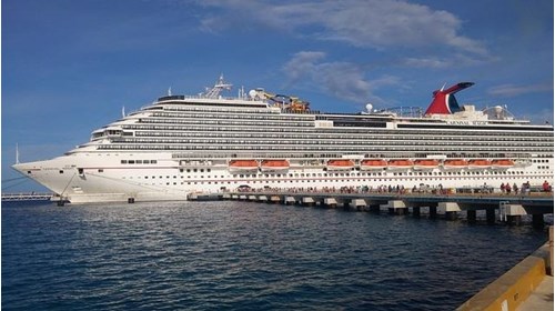 Carnival Cruise Line Travel Agent Expert