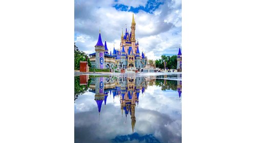 Castle Dreams