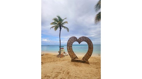 Destination Wedding Planner and Expert